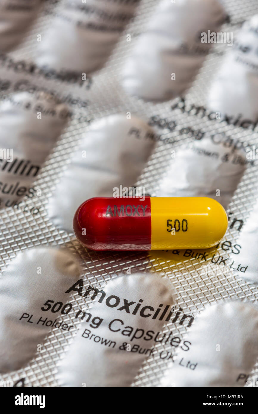 Antibiotic Amoxicillin 500mg