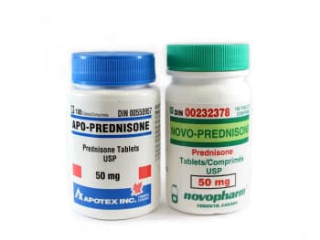 buy cheap prednisolone