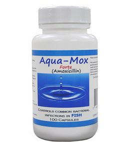 aqua-mox 500mg amoxicillin