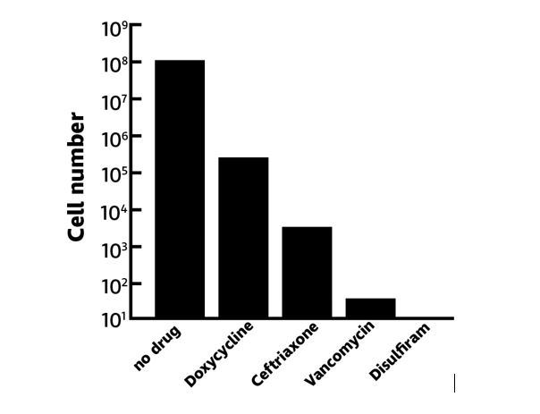 Average Cost Of Disulfiram