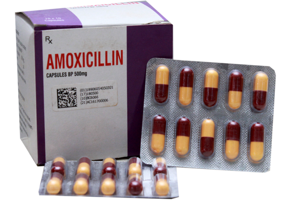 Order Amoxicillin Online Without Prescription