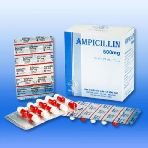 ampicillin cost