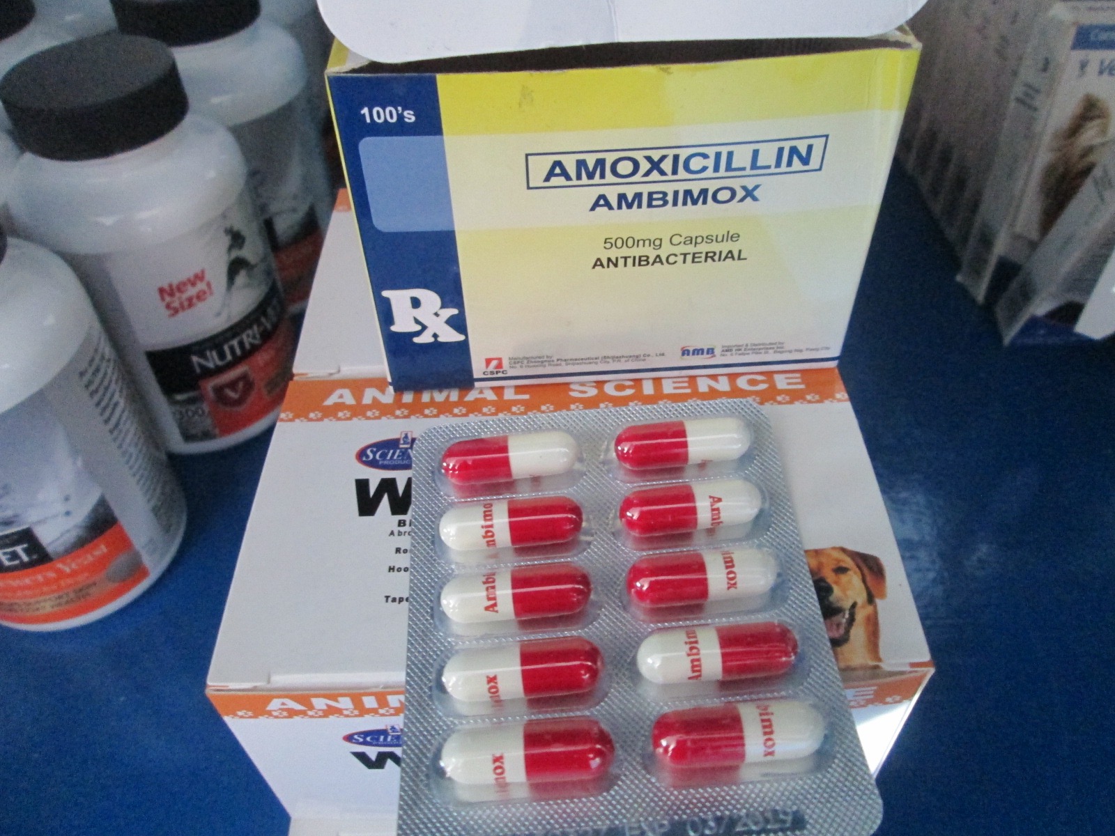 amoxicillin 500mg price