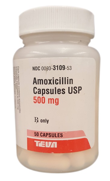 teva amoxicillin 500mg caps