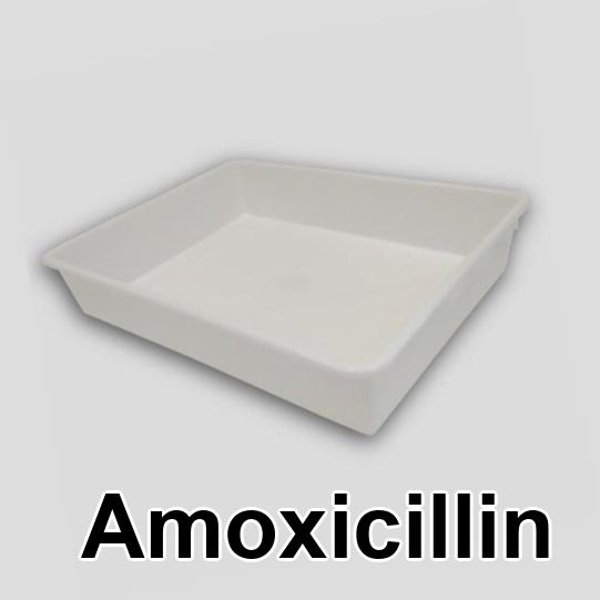 amoxicillin 500mg buy