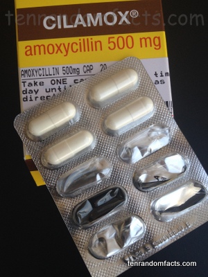 Antibiotics amoxicillin 500mg