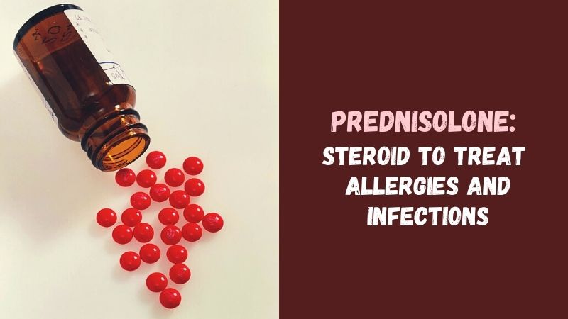 Buy Prednisolone Generic