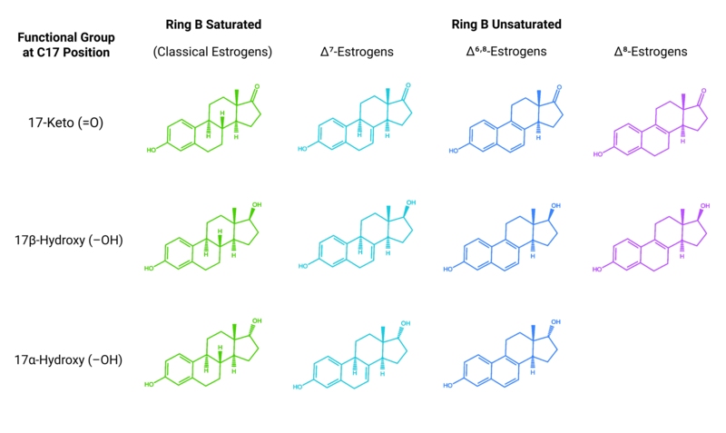 Conjugated Estrogens Generic