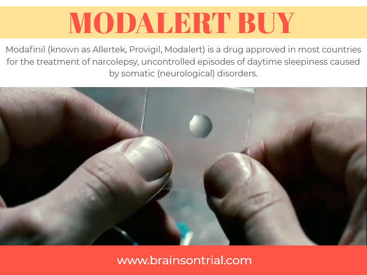 modafinil smart drug buy