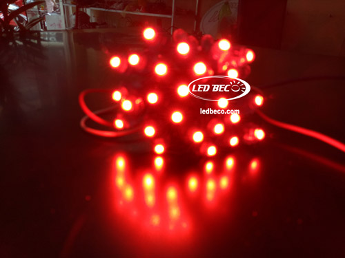 LED đúc 5mm đế 8 màu đỏ