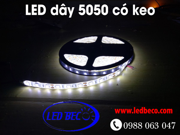 LED dây 5050 màu trắng chống nước