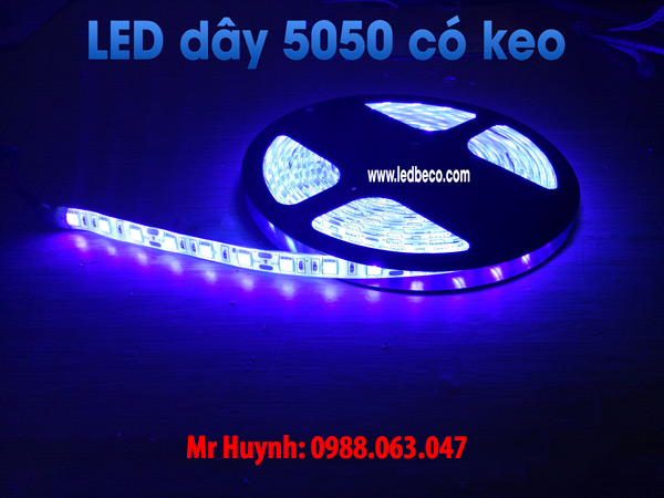 LED dây 5050 màu xanh dương chống nước
