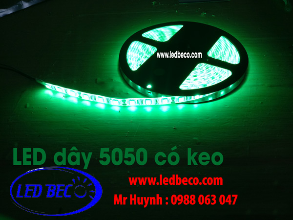 LED dây 5050 màu xanh lá chống nước