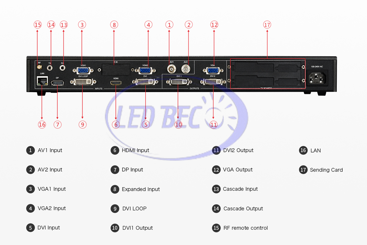 Input và output Bộ xử lý hình ảnh LED 550D
