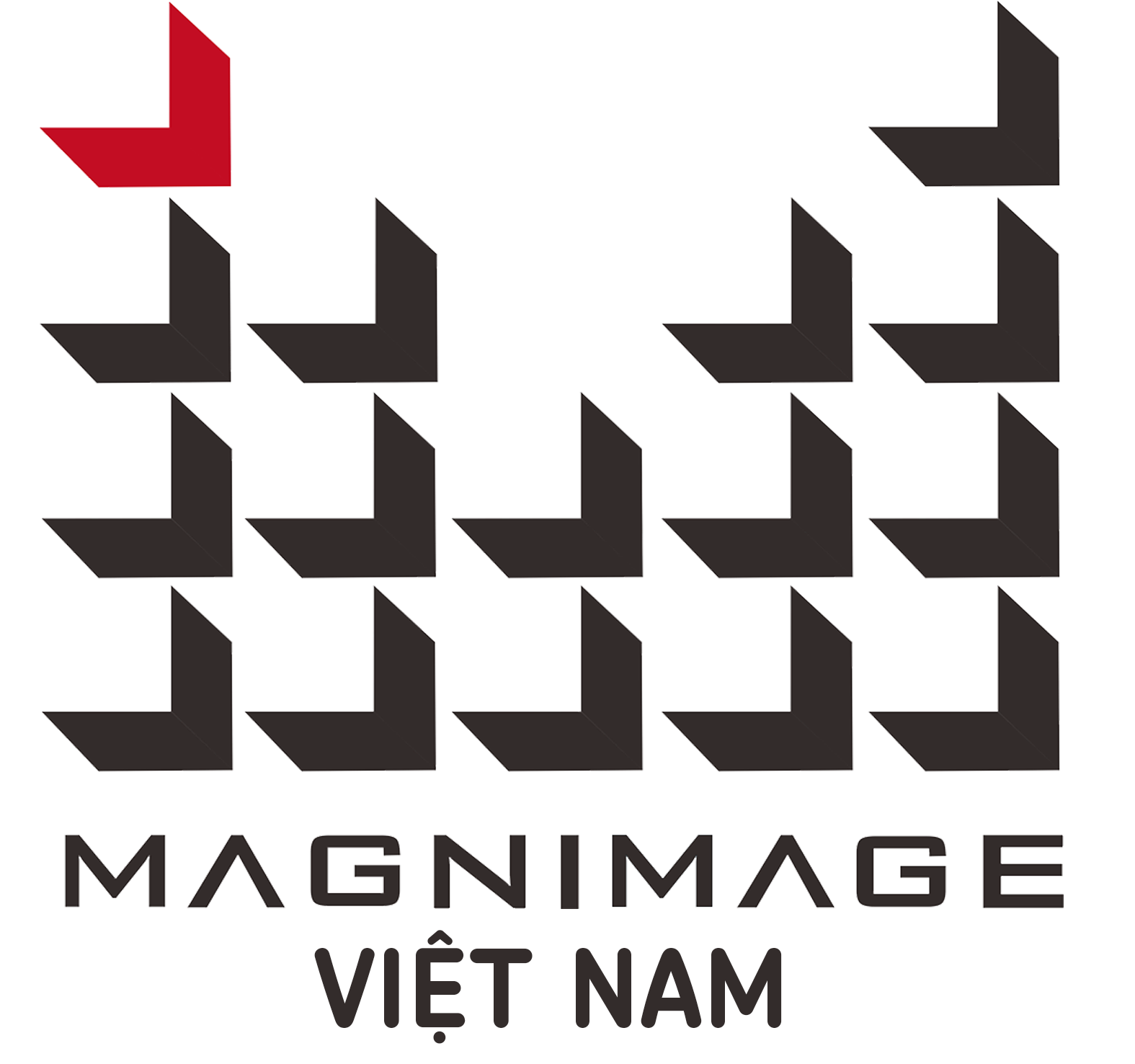 MAGNIMAGE VIET NAM