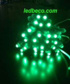 Led đúc 5mm đế 8 màu xanh lá